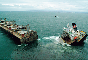 �^����ɕ��􂵂��D��