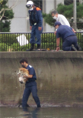 ���̋~����2