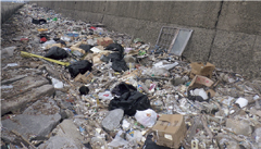 �p�����̓�����