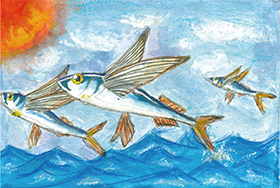 �C��ۈ���������-2