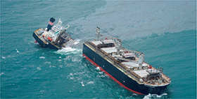 �D������̖����o��