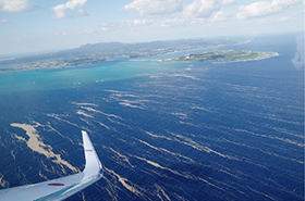 ����{���i�ÉF�����j�t�߂�Y������y��