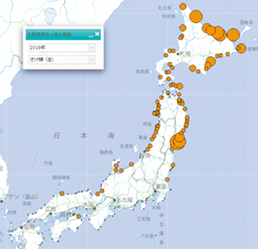 ���`�ʂ̐��g���ʁi�����j