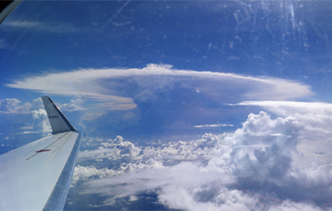 �������m��̕��΂̗l�q�i�ߘa3�N8��13���j