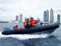 �h�����͊�