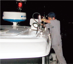 �D���H�����̎ʐ^2