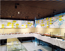 ��a�~���[�W�A�����W�̗l�q�i�����j