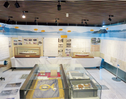 ��a�~���[�W�A�����W�̗l�q�i�����j