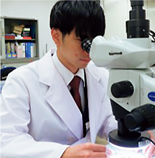 �h���̑w�\���̊m�F