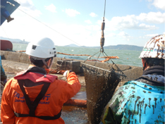 �@���h����