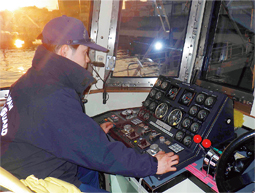 �������Ζ��̗l�q