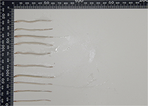 ������Ԃɂ��Čv�����Ă���u���炷���Ȃ��v