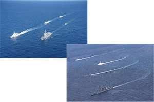 �s�R�D�̋����ǐՁE�Ď��P��