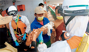 �~�}���ɂ��ώ@�̏�