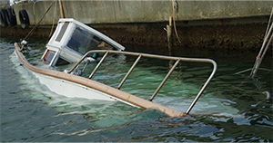 �s�@�ɓ������ꂽ�p�D