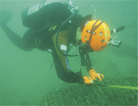 �����m��������������