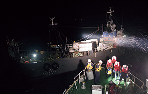 �Δn���΍БD�����g�����~��!!