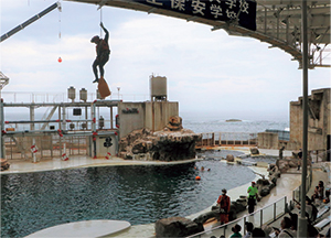 ���ۍq���n�@���~��m�̊���