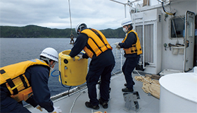 �H�L�O���ɂ����钷�����ӏ󑡒�