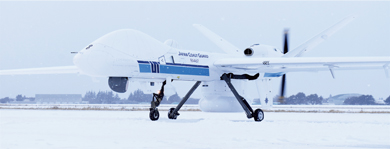 雪の中のシーガーディアン