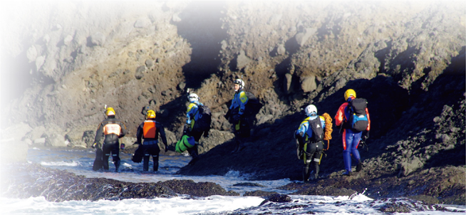 �C�ݕ��̑{����