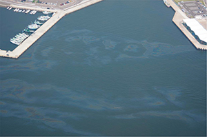 �C��ɍL����s�@�r�o���̏�