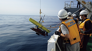 AOV������Ƃ̗l�q