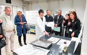 ���C�ł̐����̗l�q