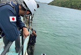 �D���ڏ�P���̗l�q