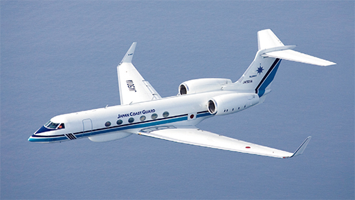 �K���tV�u���݂킵�v