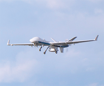 �V�[�K�[�f�B�A��