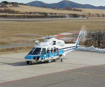 �V�R���X�L�[76D�u�����ꂢ�v