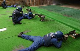 �g�s����w����