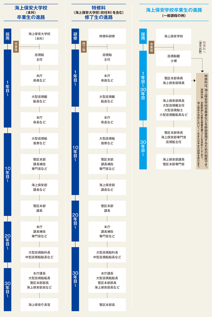 �L�����A�A�b�v���f���R�[�X