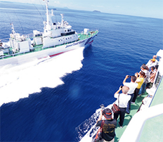 �l�c�@�����D����ݑ̌��q�C