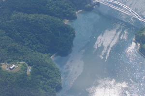 �C��ɍL����s�@�r�o���̏�