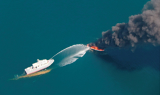 �D���΍Ђɑ΂�����Ί���