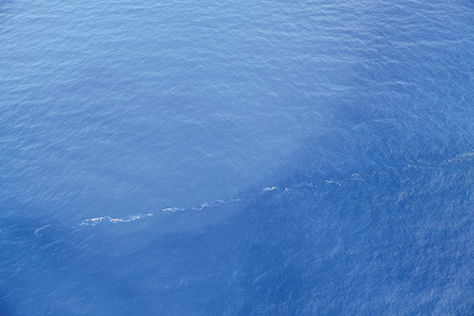 �y�Ώ�̕��V���i�ߘa5�N10��20���j