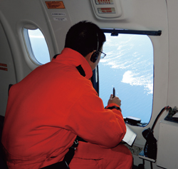 �C�X�ϑ��̗l�q