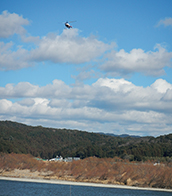 ��^�h���[���ɂ��̐��̎��؂̗l�q