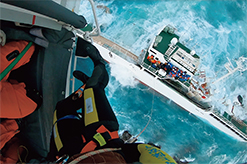 �w���R�v�^�[����̗l�q