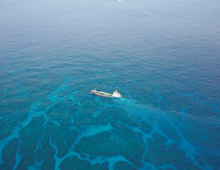 浮流油の状況