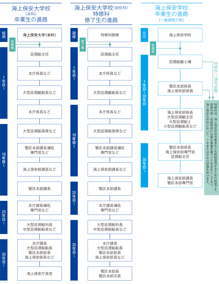�L�����A�A�b�v���f���R�[�X