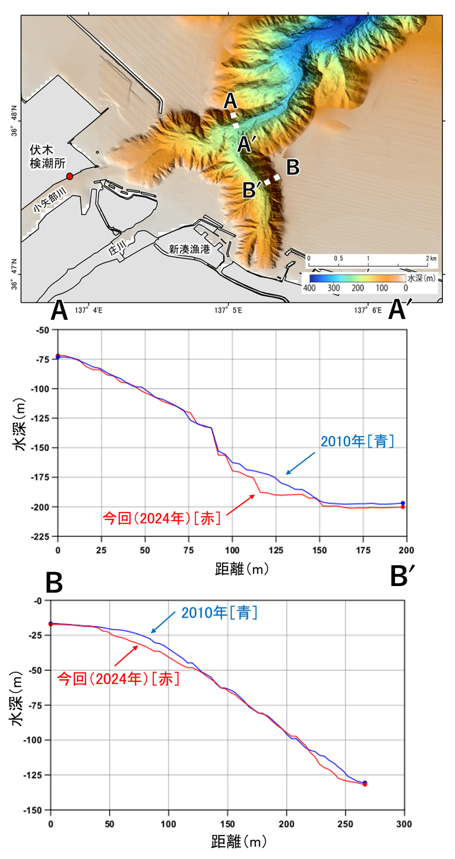 図3　2010年と今回（2024年）の海底地形の比較（断面図）