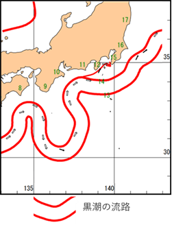 黒潮大蛇行時の海洋速報（抜粋）（2025年4月1日発行）