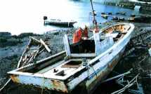 10.jpg (6912 �o�C�g)